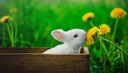 博鱼-法甲前瞻|巴黎3-0里尔：三冠王之后，大巴黎三线全崩？